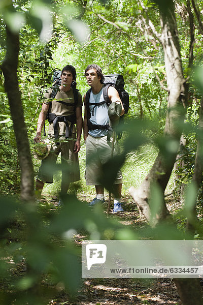 Junge Männer beim Wandern im Wald