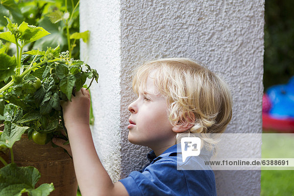 Junge untersucht Pflanzen im Freien