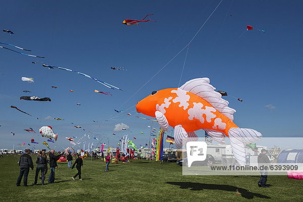 Internationales Windspiel- und Drachenfestival in Norddeich  Ostfriesland  Niedersachsen  Deutschland  Europa
