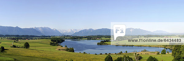 Blick von der Aidlinger Höhe auf Riegsee und Alpenkette  Blaues Land  Pfaffenwinkel  Oberbayern  Bayern  Deutschland  Europa