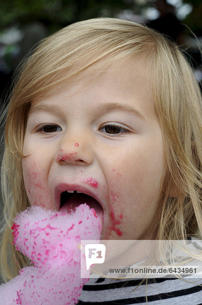 Kleines Mädchen  3 Jahre  beim Essen von Zuckerwatte  Schweden  Europa