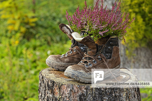 Ausrangierte Wanderschuhe beim Kiosk Wutachmühle Wutachschlucht Bonndorf Baden-Württemberg Schwarzwald Deutschland Europa