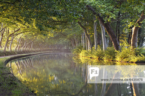 Canal du Midi zwischen Argens-Minervois und Negra bei …cluse de l'Ocean Pk 51 6 Avignonet-Lauragais Carcassonne Region Languedoc-Roussillion DÈpartement Aude Frankreich Europa