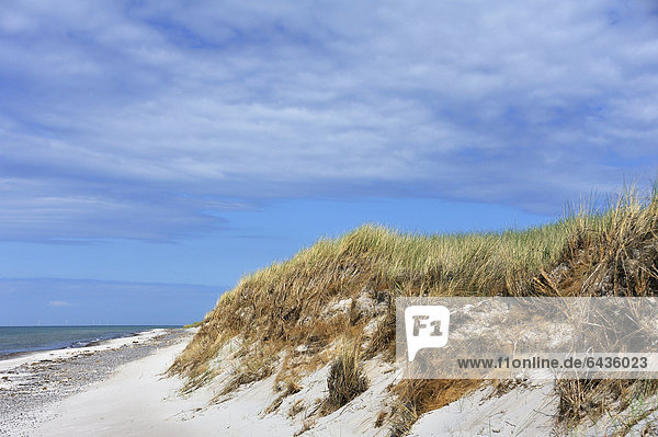 Naturschutzgebiet Europa bedecken Strand Sand Gras Düne Ostsee Baltisches Meer Darßer Ort Deutschland Mecklenburg-Vorpommern