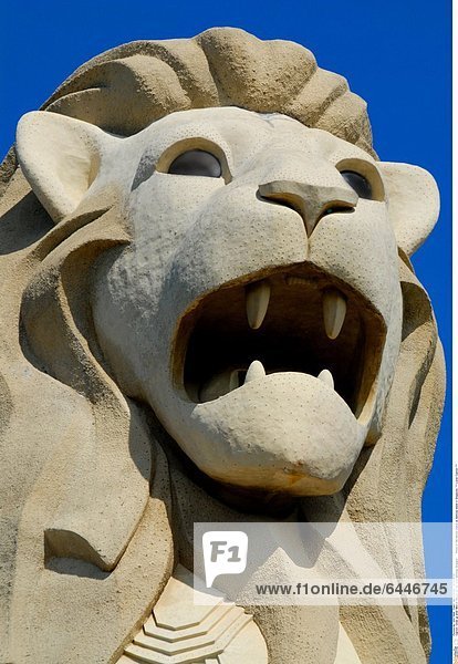 Close up einer Merlion Statue auf der Insel Sentosa Singapur Photo of the Merlion statue at Sentosa Island in Singapore. *** Local Caption ***