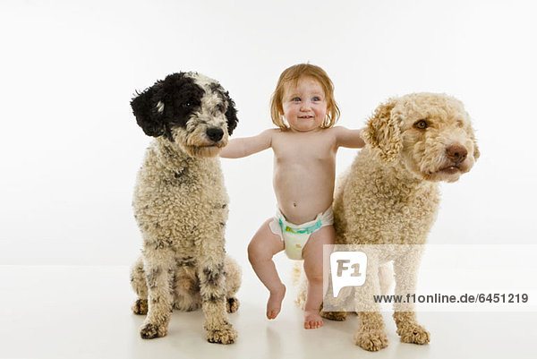 Ein kleines Mädchen mit zwei Hunden