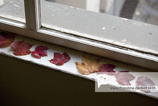 Detail der Herbstblätter auf einer Fensterbank