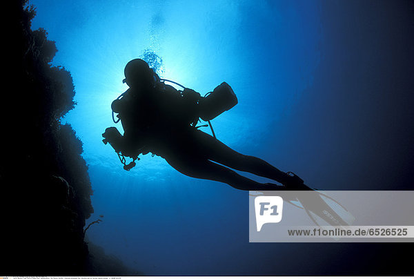 Mandatory Credit: Photo by Stephen Wong / SplashdownDirect / Rex Features ( 842418a ) Underwater photographer diver silhouetting under sun. Gorontalo Sulaweis Indonesia. (rr) MARINE WILDLIFE