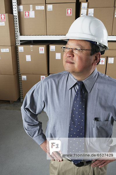 Middle-aged Asian businessman wearing hard hat in warehouse