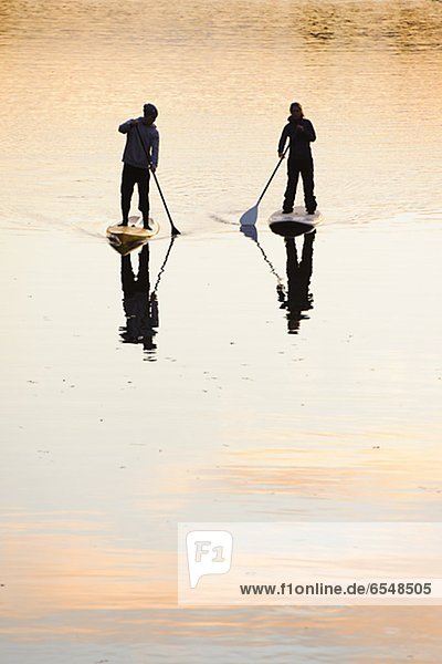 Two people rowing paddle boards in water at dusk  rear view