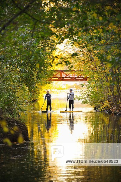 Two people rowing paddle boards in autumn trees