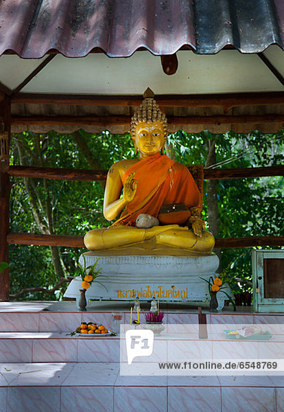 frontal  Buddhastatue