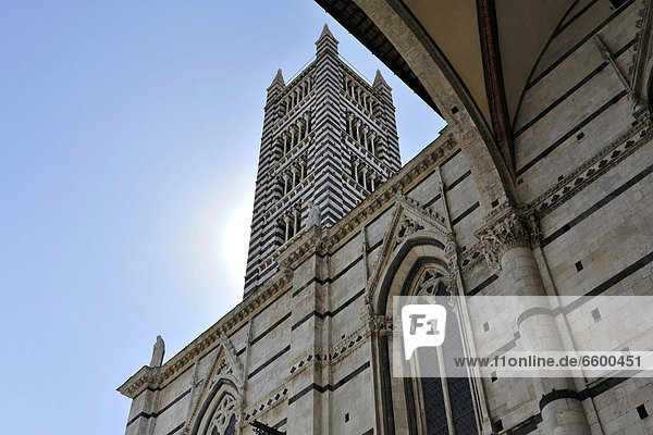 Glockenturm  Campanile  Kathedrale  Dom von Siena  Duomo di Siena  Siena  Toskana  Italien  Europa