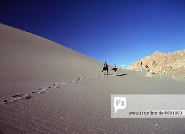 Horse Riders On Sand Dune In The Valle De La Muerte