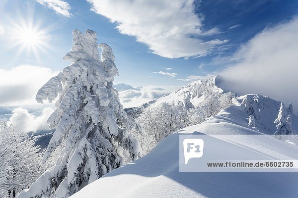 Mountainscape in winter above the Salzach Valley Salzburg State Austria
