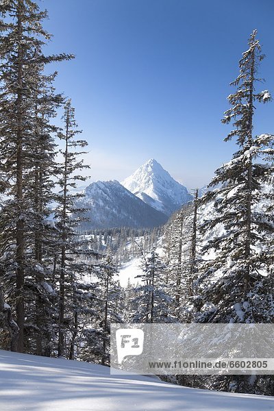 Grimming in winter Upper Austria Austria