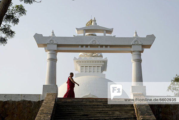 Monk in a monk's robe walking in front of the World Peace Stupa  on Vulture Peak  important Buddhist pilgrimage destination  Buddha's first place of meditation  Ragir  Rajgir  Rajagriha  Rajagaha  Bihar  India  Asia