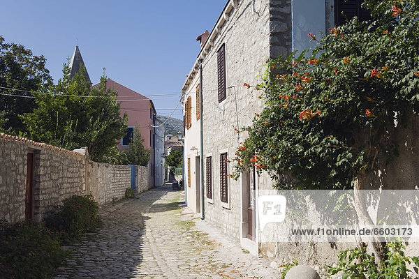 Old stone houses in Osor  Cres Island  Adriatic Sea  Kvarner Gulf  Croatia  Europe
