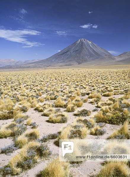 Grasslands Towards Volcano In The Andes