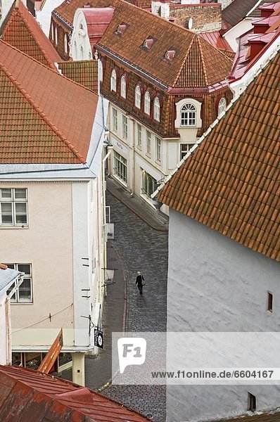Kopfsteinpflaster  Tallinn  Hauptstadt  gehen  Straße  Figur  Einsamkeit  Luftbild