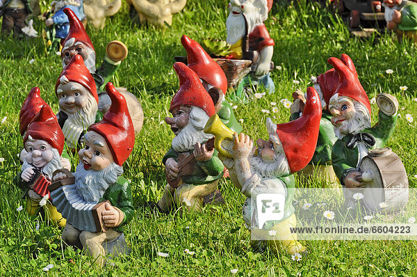 Garden gnomes as musicians in a band Bueches near Buedingen Hesse Germany Europe PublicGround