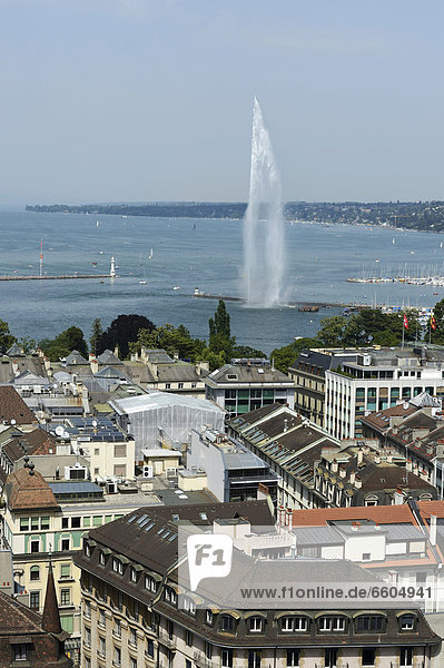 Blick auf den Genfersee mit Jet d'eau Genf Schweiz Europa