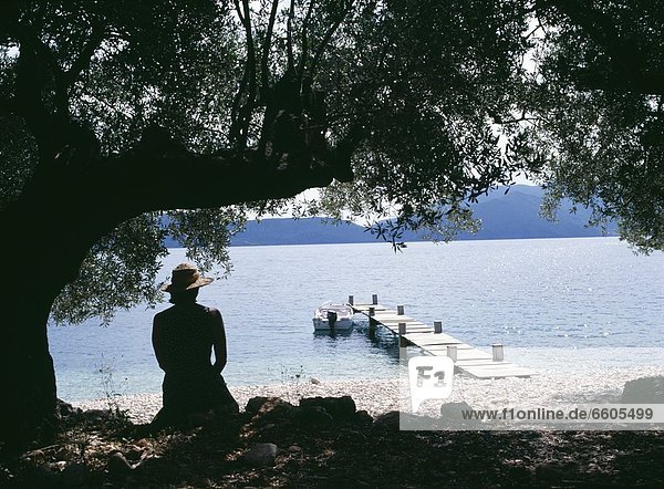 Woman Sitting On Coastline Under Tree