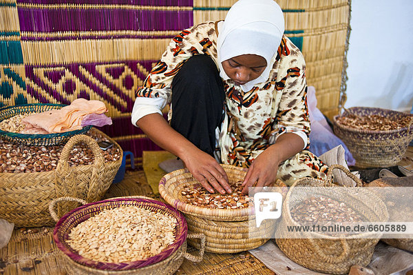 Eine Frau sortiert in Körben Arganienkerne für die Zubereitung von Arganöl  Antiatlas  Südmarokko  Marokko  Afrika