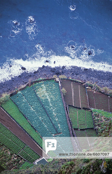 Patchwork Fields By Coastline  Aerial View