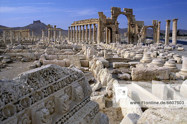Ruine  Palmyra
