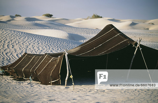 Wüste Zelt Sahara Reise Berber Kamel Douz