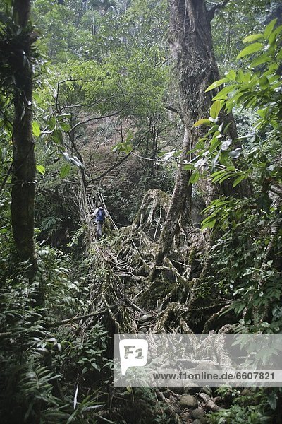 A Backpacker Trekking Across A Natural Footbridge In Forest
