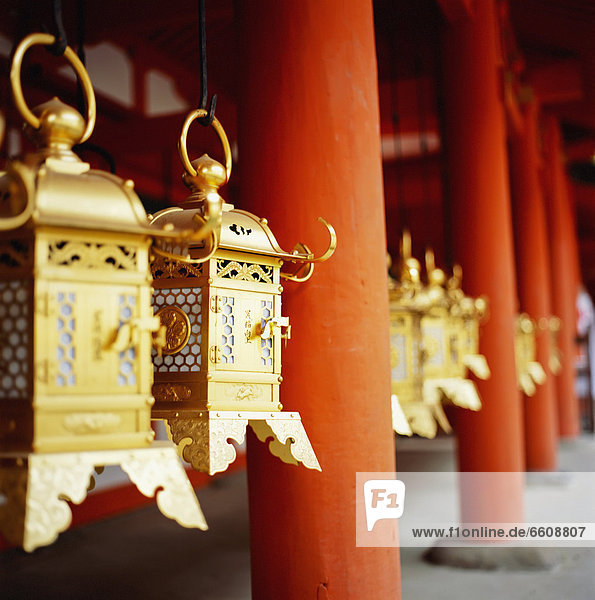 Gold Lanterns Hanging At Kasuga Taisha Shrine