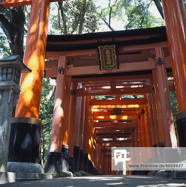 Red Torii Arches Over A Path At Inari Temple  Fushimi.
