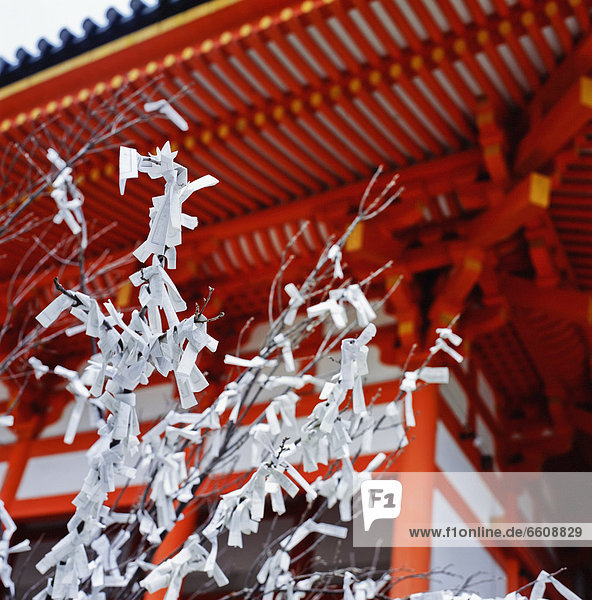 Fortune-Telling Omikuji Papers Tied To A Tree At Heian Shrine