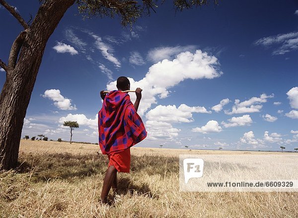 Masai Man Standing Under Flat Topped Acaia Tree