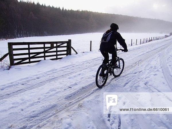 A Lone Cyclist Riding On A Snowy Rural Road