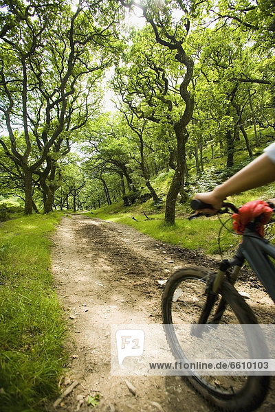 Female Cyclist Riding Through Woods