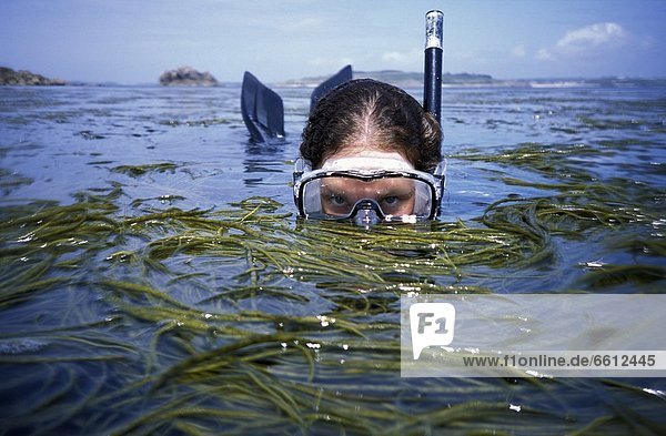 Person snorkeling amongst seaweed