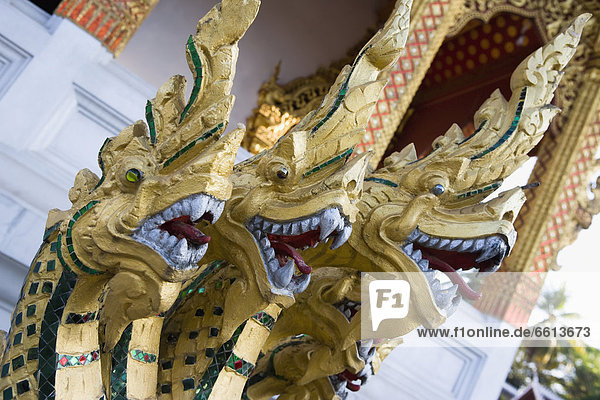 Dragon statue at Buddhist temple  Luang Prabang Laos