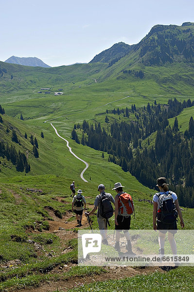 A Group Of Hikers Walking The Kitzbuehel Region Towards Bichlalm. Kitzbühel Alps. Tyrol  Austria. Photo © Chris Parker / Axiom