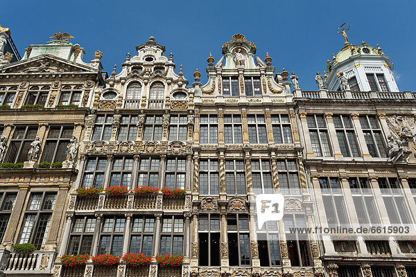 Brussels  Belgium