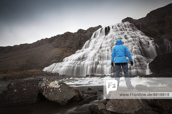 Wanderer vor Wasserfall Dynjandi  Fjallfoss  Westfjorde  Island  Europa