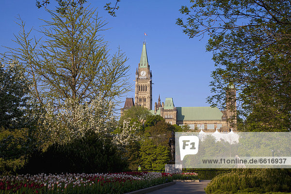 Gebäude des kanadischen Parlaments  Ottawa  Ontario  Kanada