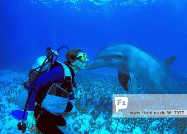 Scuba Diver Kissing Dolphin Underwater