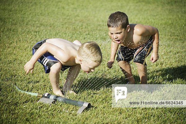 Little Boys Playing With A Sprinkler