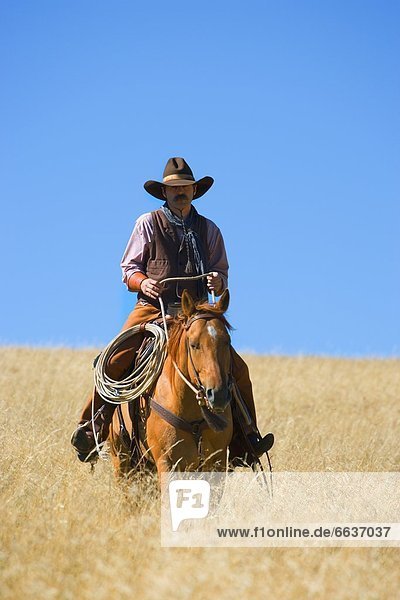 A Cowboy On His Horse