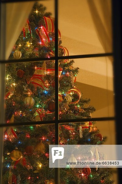 Innenaufnahme  sehen  Fenster  Baum  Weihnachten  blättern