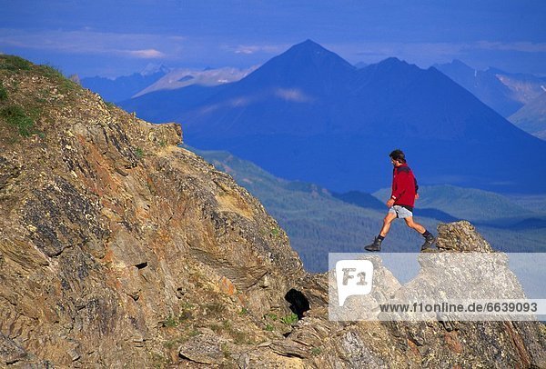 Hiker On Mount Healy  Denali National Park  Alaska  Usa