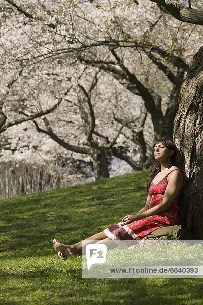 Woman Relaxing Under Cherry Tree Blossoms